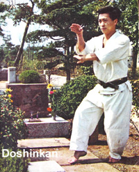 Японский мастер Итикава Исао - основатель стиля Досинкан (Дошинкан)